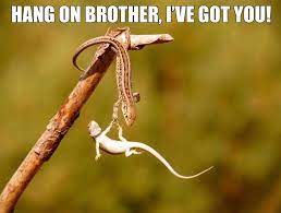 Solar Leads Contact Center